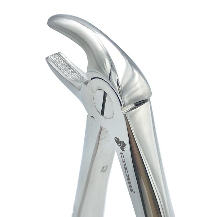 TURNED HEAD FORCEPS, #13