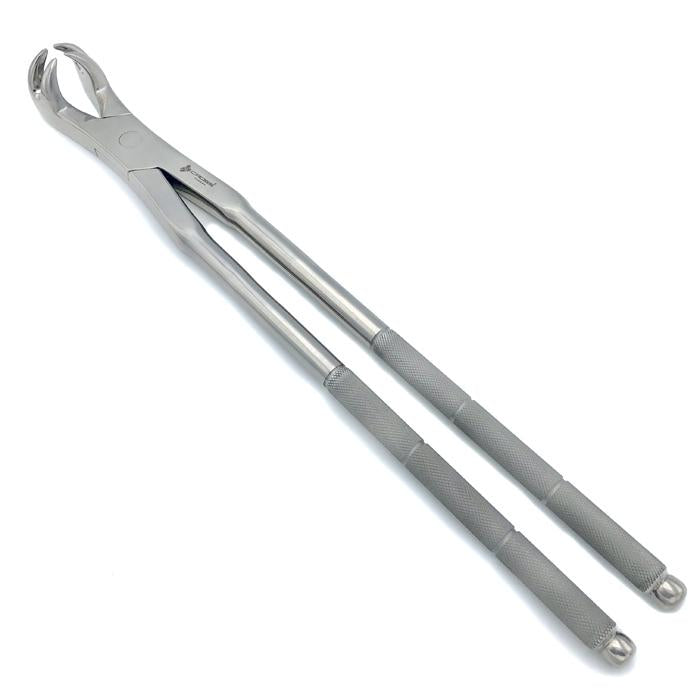 FOUR ROOT EQUINE MOLAR FORCEPS, 19" (48CM)