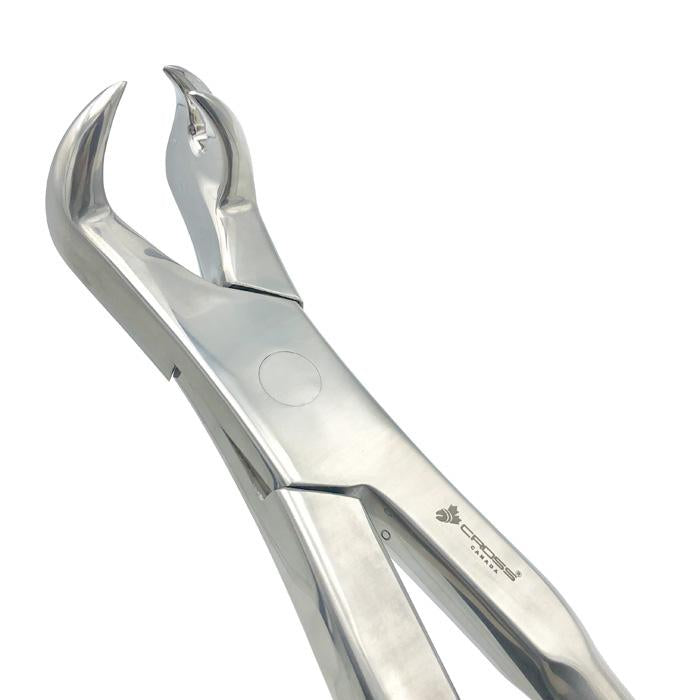 THREE ROOT FORCEPS OFF SIDE, 19" (48CM)